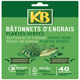 batonnets nutritifs plantes vertes - substral